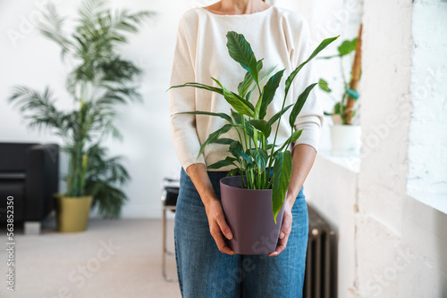 Businesswoman holding potted plant in office