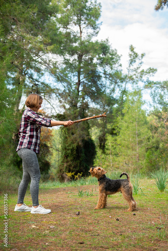 Woman wearing plaid shirt playing with her dog during the walk in forest. Welsh terrier dog enjoying the game playing with a stick
