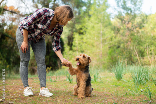 Woman playing with her dog during the walk in forest. Welsh terrier dog spending time together with the owner