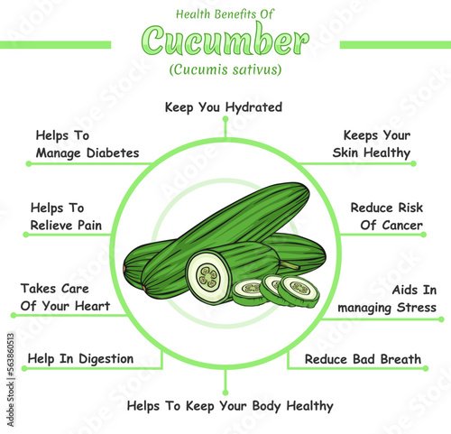 Health benefits of a cucumber