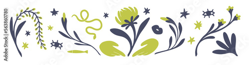 Abstract flowers, esoteric elements bundle. Leaf branches, magic plants, decorative eye, fish, snake set. Modern minimal mysterious occult decor. Flat vector illustrations isolated on white background