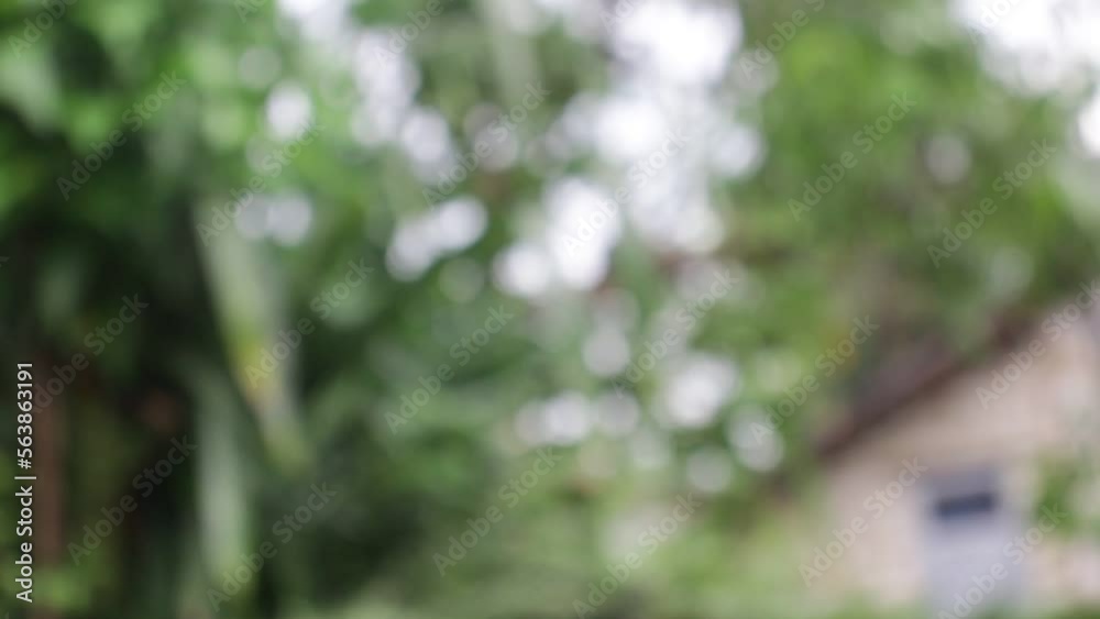 Highly Blurred Green Leaf Background For Advertisement, Text Space and Quote Highly Blurred Green Leaf Background For Advertisement, Text Space and Quote