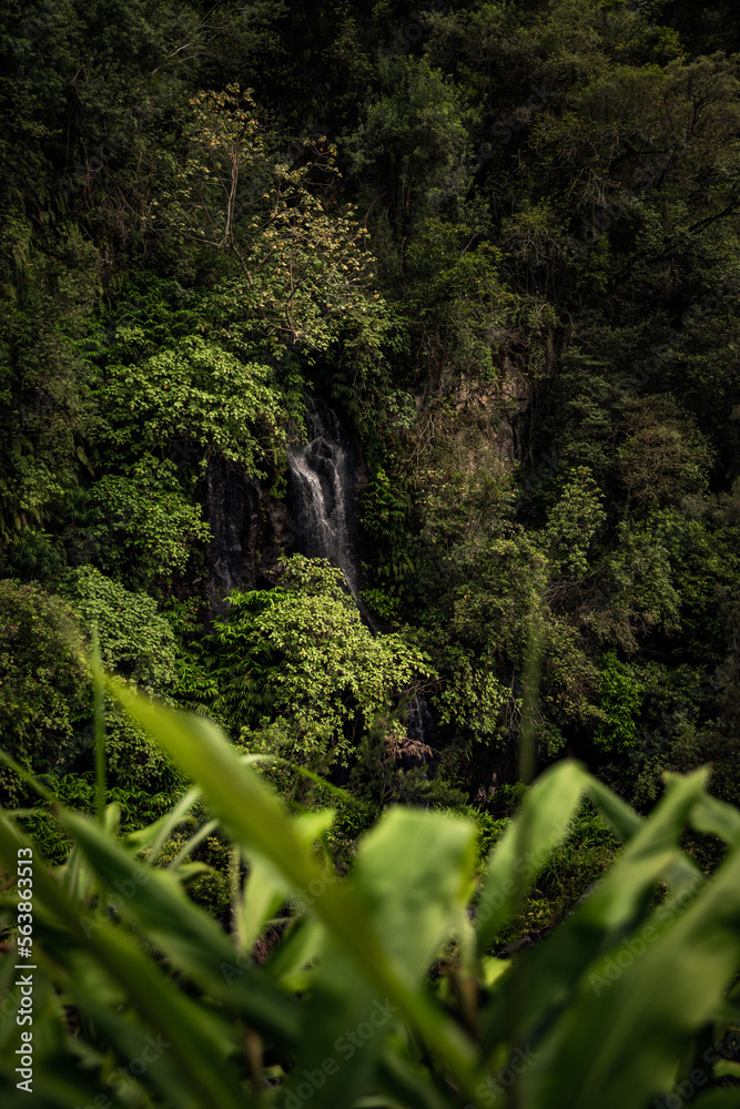 Jungle waterfall cascade in tropical rainforest Jungle waterfall cascade in tropical rainforest