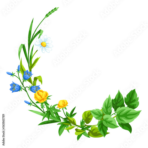 Frame with meadow flowers. Herbs and cereal grass. Beautiful decorative spring plants.