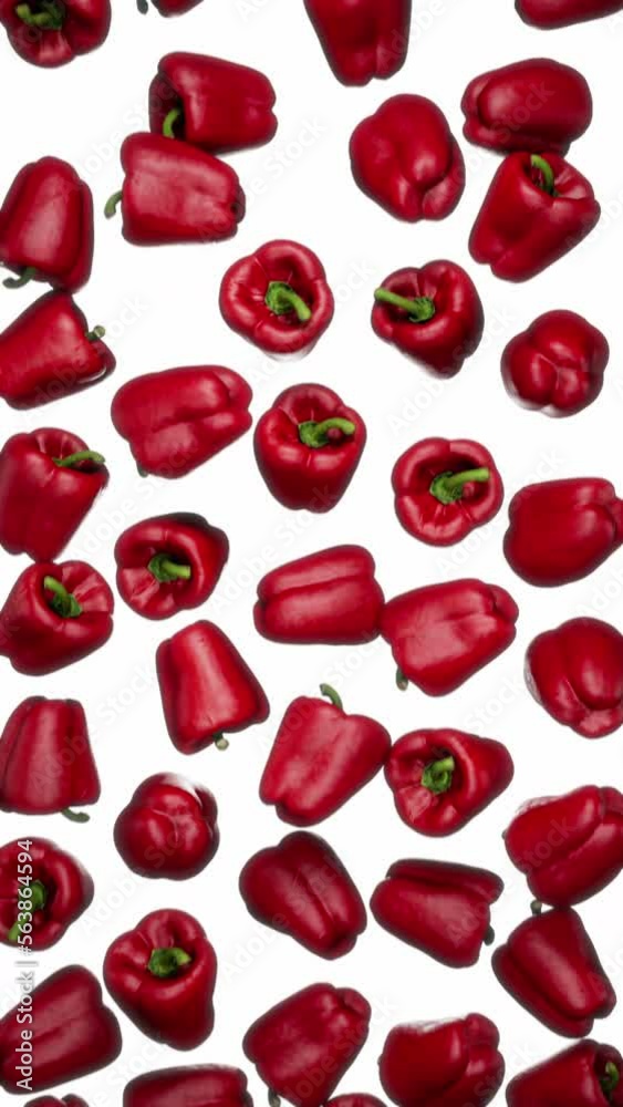 Vertically composed looping animation featuring a cloud of Red Bell Peppers falling endlessly on white background. Vertically composed looping animation featuring a cloud of Red Bell Peppers falling endlessly on white background.
