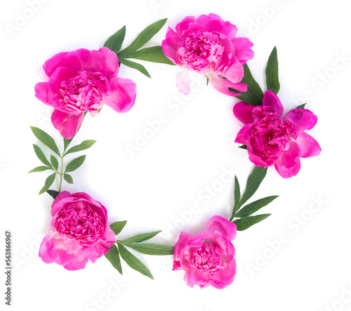 Fototapeta Naklejka Na Ścianę i Meble -  Round garland of beautiful pink peonies on white isolated background. Creative floral wreath.