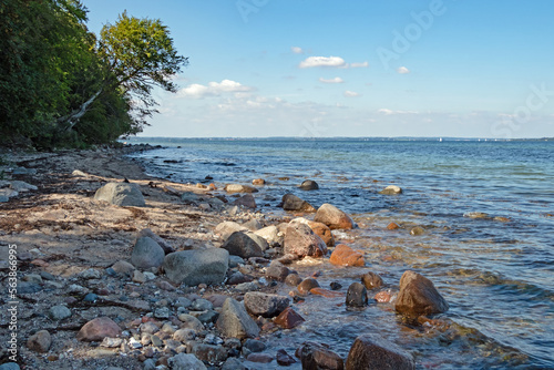 Wilde Küste mit Strand an der Flensburger Förde der Ostsee bei Westerholz, Schleswig-Holstein, Deutschland