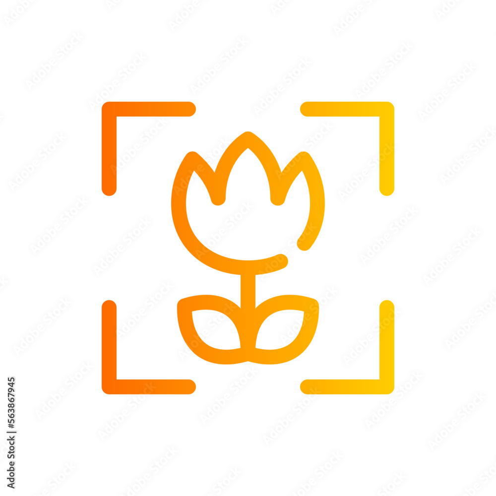 macro gradient icon macro gradient icon