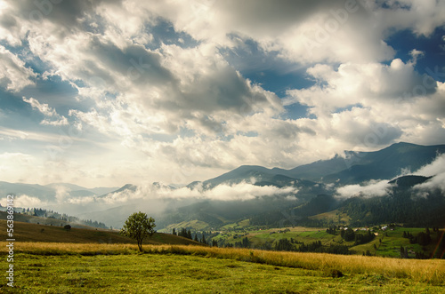 Summer mountain landscape