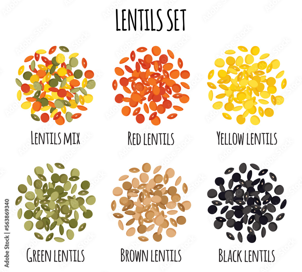 Lentils set with Red, Yellow, Green, Brown and Black lentils.