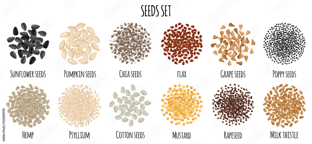 Seeds set with Sunflower, Pumpkin, Chia, Flax, Grape, Poppy, Hemp, Psyllium, Cotton, Mustrad etc.