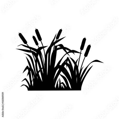 Cattail icon vector. reeds illustration sign. swamp symbol. grass logo.