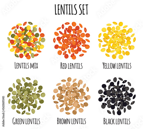 Obraz na płótnie Lentils set with Red, Yellow, Green, Brown and Black lentils. w salonie