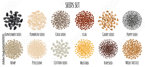 Obraz na płótnie Seeds set with Sunflower, Pumpkin, Chia, Flax, Grape, Poppy, Hemp, Psyllium, Cotton, Mustrad etc. w salonie