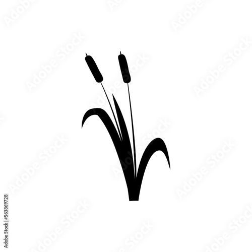 Cattail icon vector. reeds illustration sign. swamp symbol. grass logo.