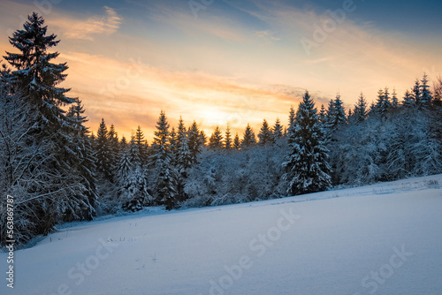 Sonnenuntergang über Schnee und Wald im Winter
