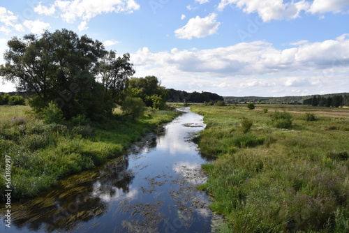 woda  rzeka Supra  l  krajobraz  drzewa  lato  ziele    bory  potok  podlaskie  