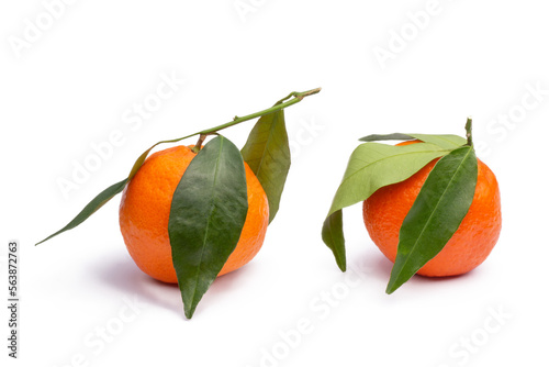 two tangerines with leaves, png file