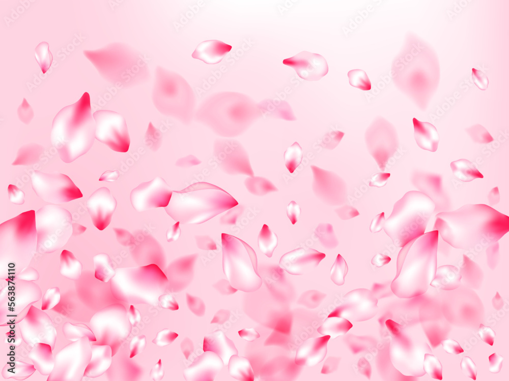 Spring tree flowers parts, airy flying petals