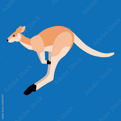 kangaroo illustration