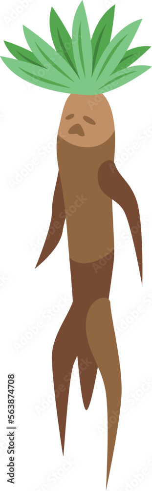 Mandrake plant icon isometric vector. Green leaf. Magic root Mandrake plant icon isometric vector. Green leaf. Magic root