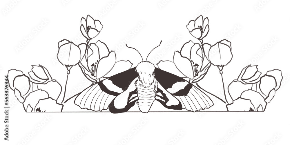 Fototapeta premium Floral line art border with insects and flowers