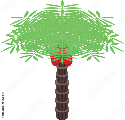 Tree fruit icon isometric vector. Oil food. Palm cooking
