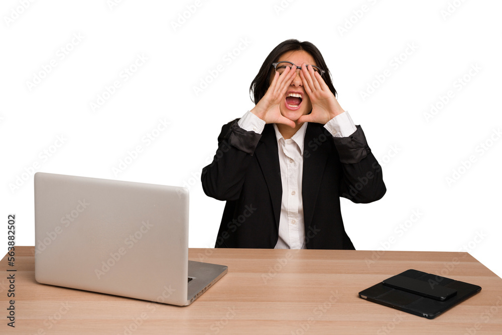 Young indian woman in a table with a laptop and tablet isolated shouting excited to front.
