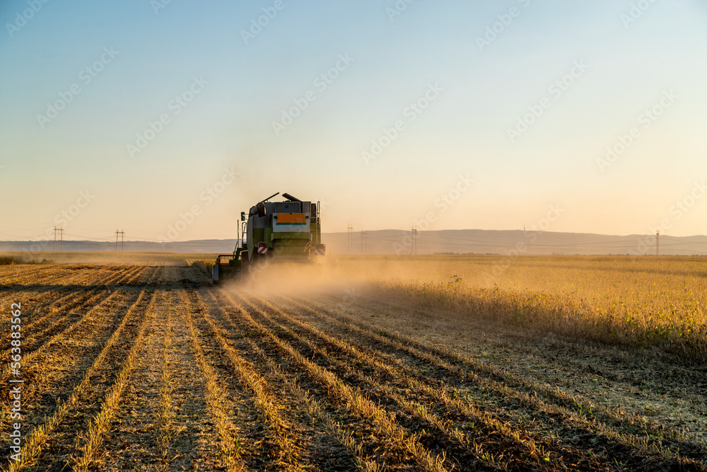 Naklejka premium The hard work of harvesting, a farmer in a combine harvester at work in a soybean field