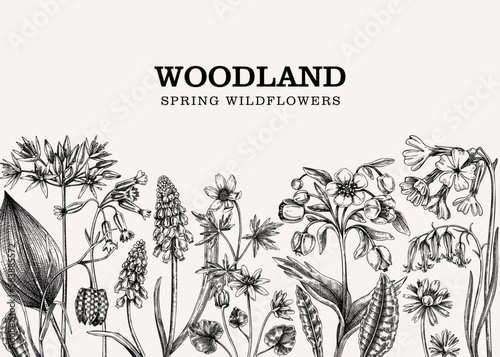 Bilde på lerret Spring banner with meadows and wildflowers