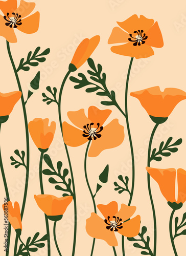 California poppy background.Eps 10 vector.
