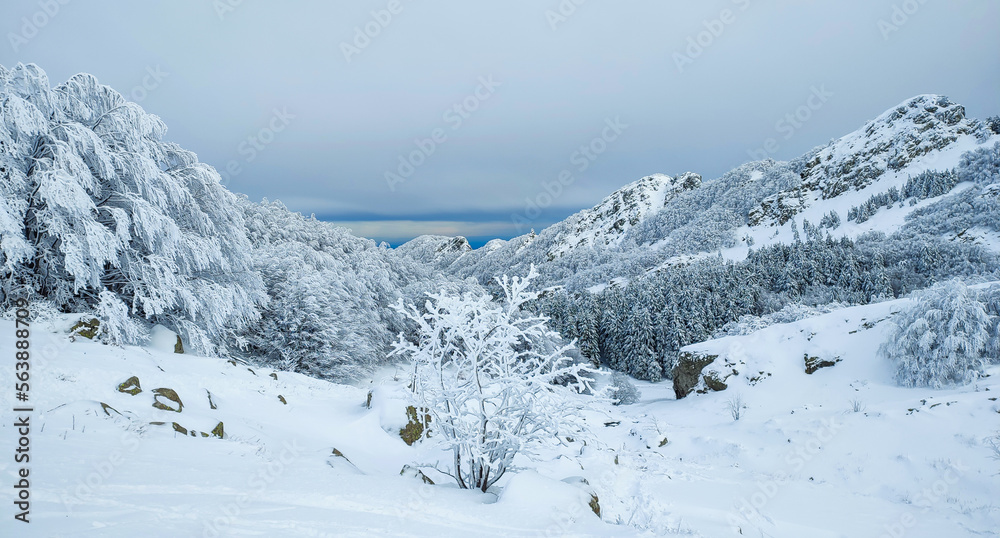Escursione invernale nel bellissimo appenino italiano innevato. Ciaspolata sui monti innevati in Italia.