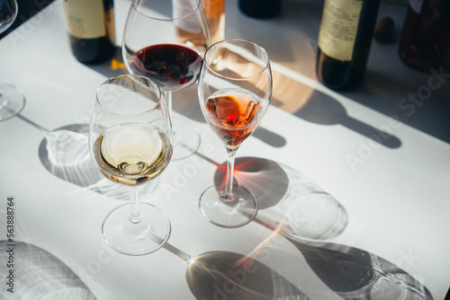Obraz na płótnie Wine tasting w salonie