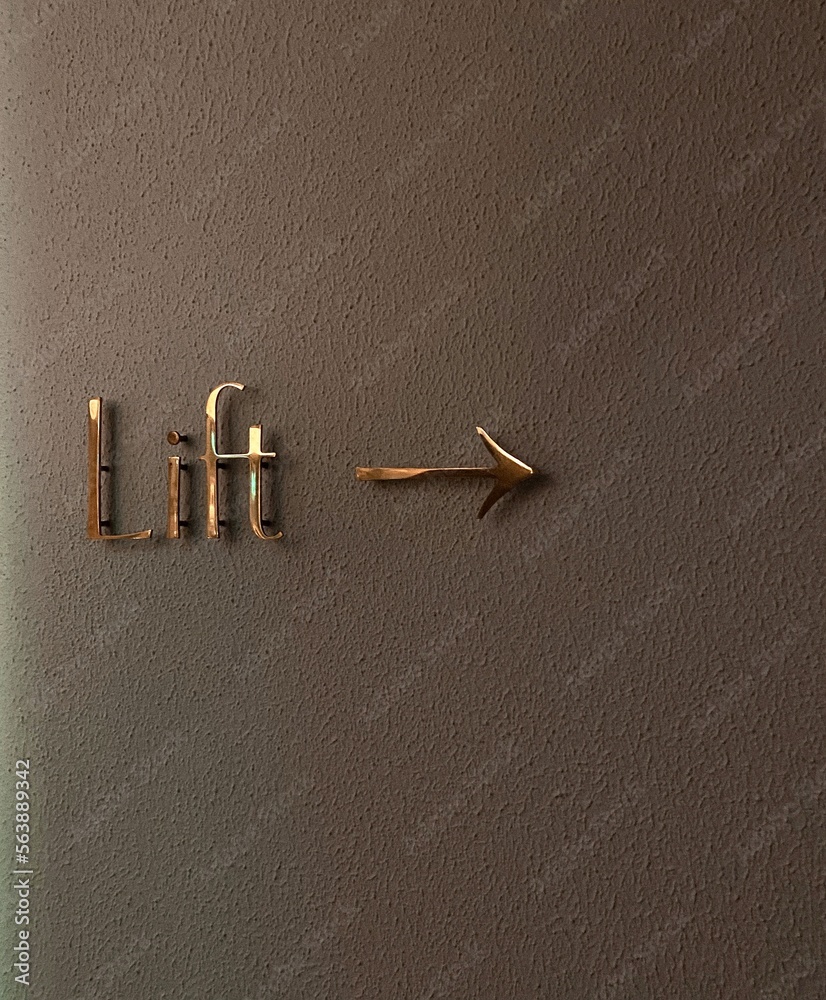 Pointer, Pointer,