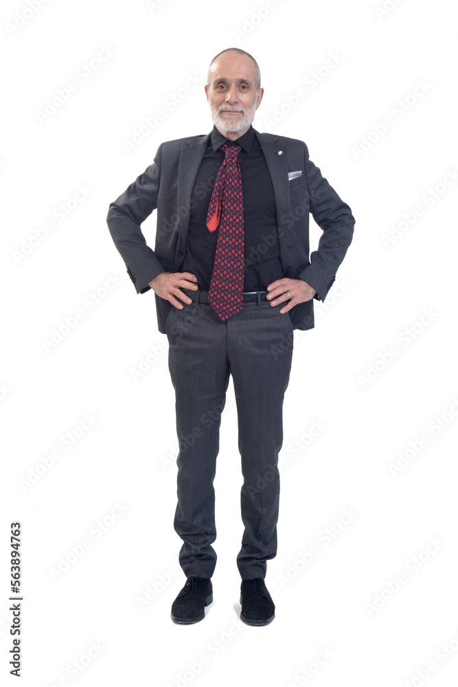 front view of a man standing with suit and tie and arms akimbo on white background front view of a man standing with suit and tie and arms akimbo on white background
