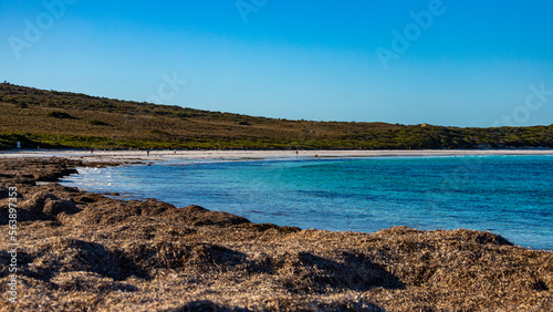 panorama of lucky bay in cape le grand national park at sunset  the famous kangaroo beach in western australia near esperance