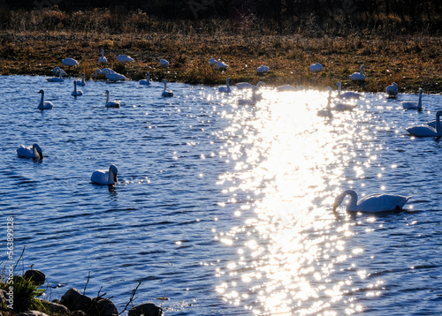 夕暮れの犀川 photo