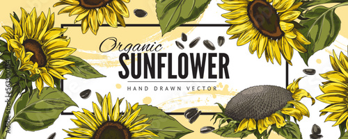 Sunflower hand drawn colorful banner or badge design sketch vector illustration.