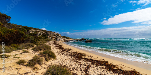 a panorama of paradise bay on rottnest island near perth in western australia  the beautiful bays and wild landscape of the island famous for its quokka