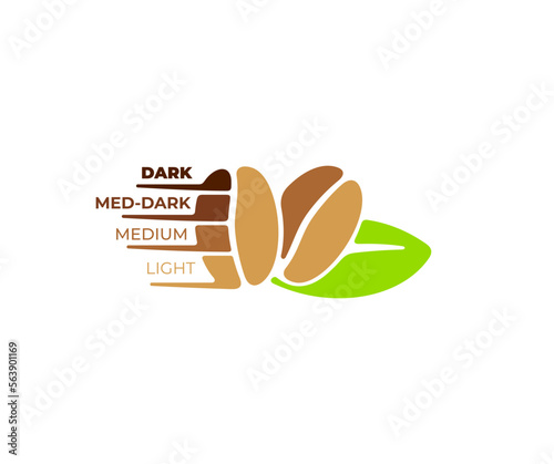 Coffee beans with leaves, coffee roast degree, infographic and graphic design. Roast profiles for coffee, nature, food and drink, vector design and illustration