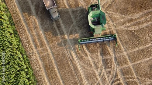 Modern combine harvester and old truck in the field during harvesting. High quality FullHD footage