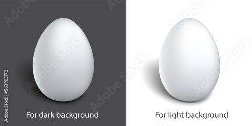 3D realistic white chicken egg with shadow