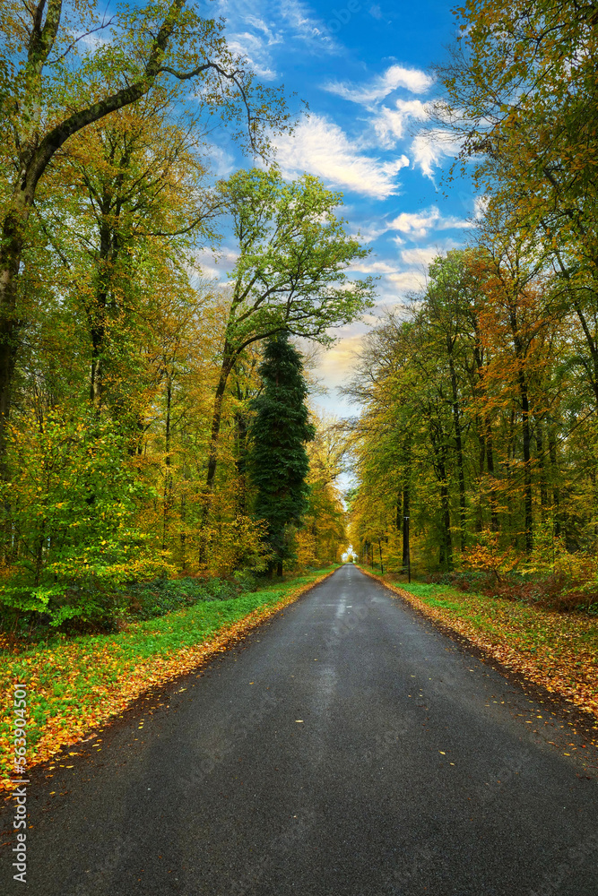 Obraz premium Small road in France. Autumn landscape in the countryside.