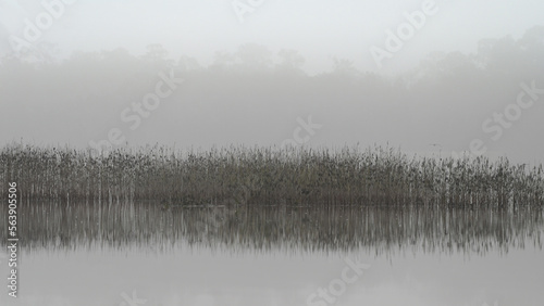 Fog robs the landscape of color on a winter day at the lake.