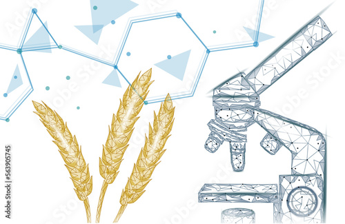 3D wheat ears grain. World food Day hunger awareness. Help charity food help global international refugees vector illustration
