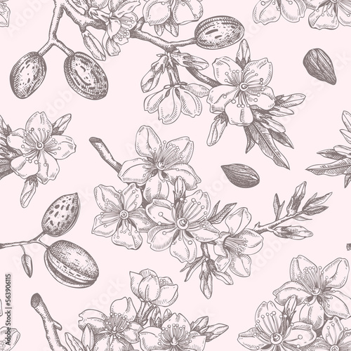 Almond blossom sketched background. Floral seamless pattern. Flowering branches with nuts, flowers, and leaves design. Botanical vector illustration of spring nut tree.