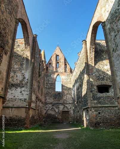 Rosa coeli, ruins church and monastery, Dolni Kounice