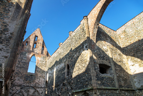 Rosa coeli, ruins church and monastery, Dolni Kounice