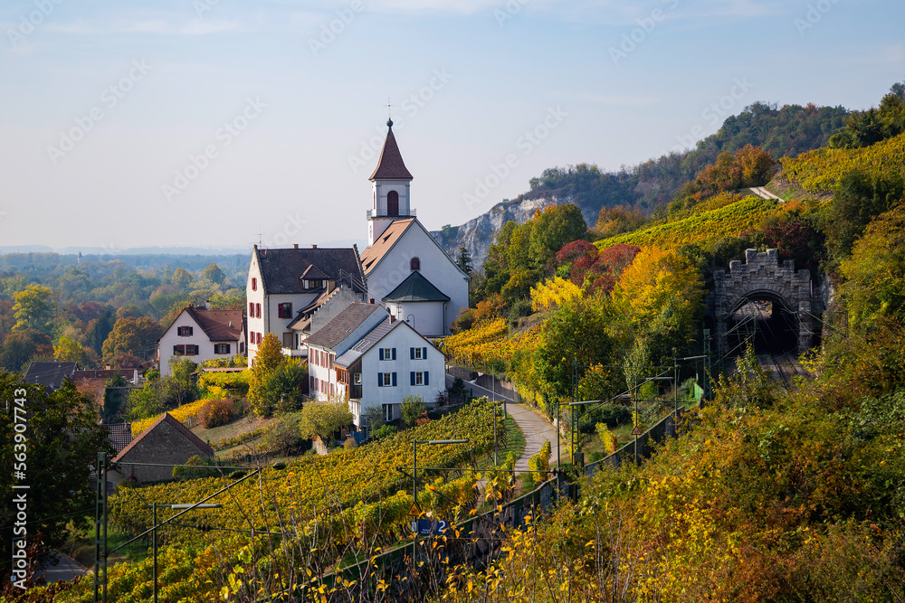 Weinberge Reben Winzer Weinberge Reben Winzer