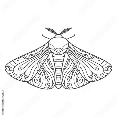 Decorative fantastic moth. Wings covered with ornaments for coloring. Illustration on transparent background